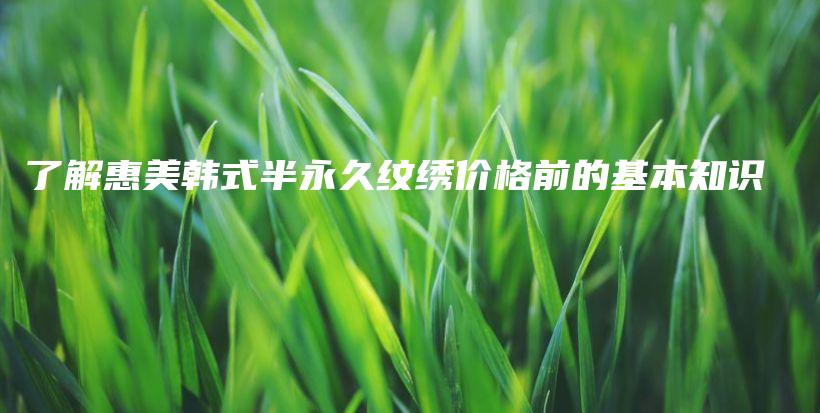 了解惠美韓式半永久紋繡價(jià)格前的基本知識(shí)插圖