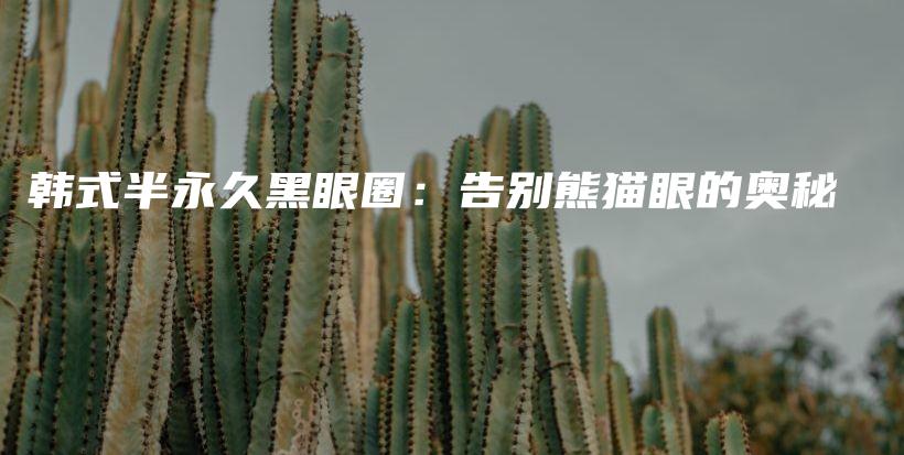 韓式半永久黑眼圈：告別熊貓眼的奧秘插圖