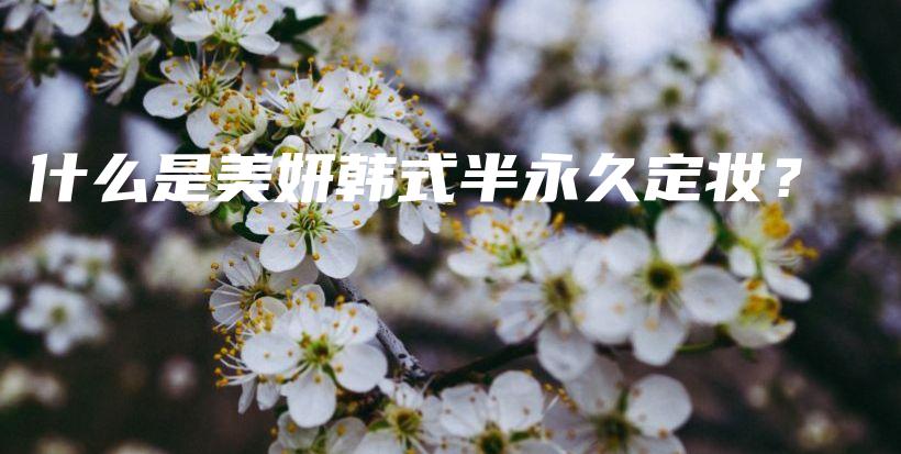 什么是美妍韓式半永久定妝？插圖