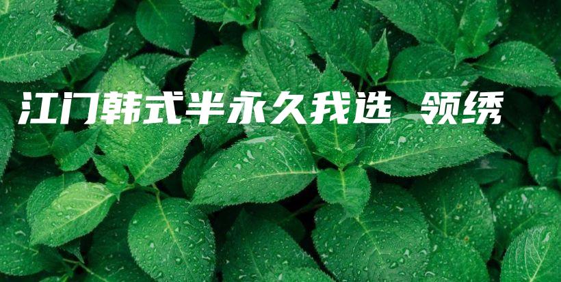 江門(mén)韓式半永久我選 領(lǐng)繡插圖