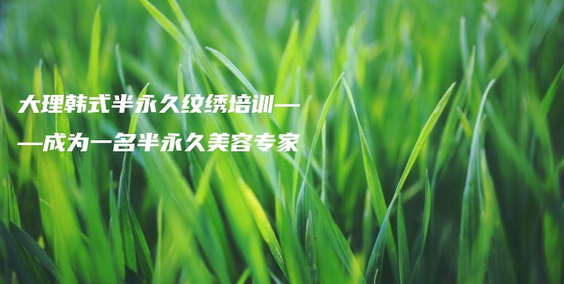 大理韓式半永久紋繡培訓(xùn)——成為一名半永久美容專家插圖