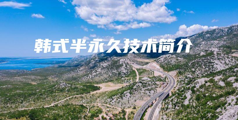 韓式半永久技術(shù)簡介插圖
