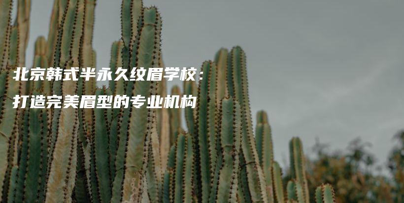 北京韓式半永久紋眉學校：打造完美眉型的專業(yè)機構插圖