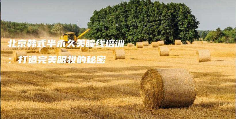 北京韓式半永久美瞳線培訓(xùn)：打造完美眼妝的秘密插圖