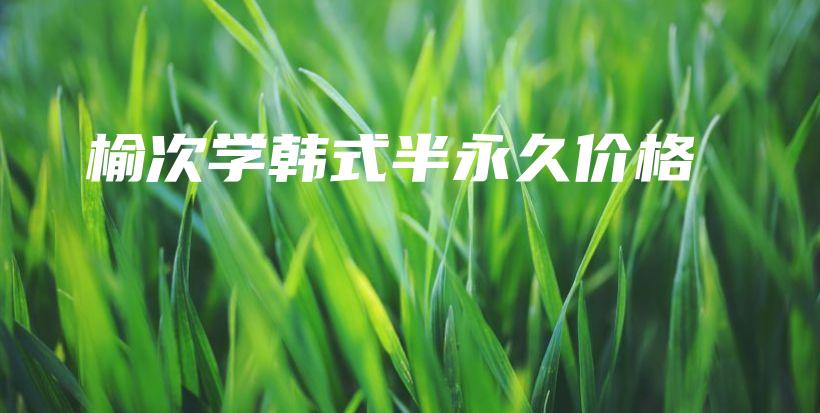 榆次學韓式半永久價格插圖