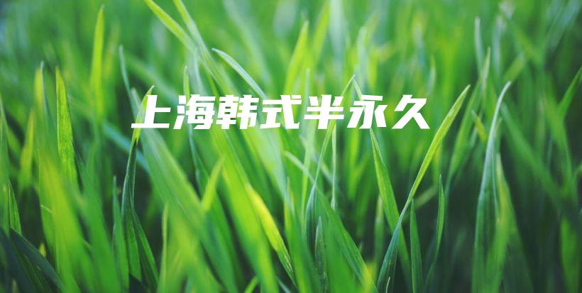 上海韓式半永久插圖