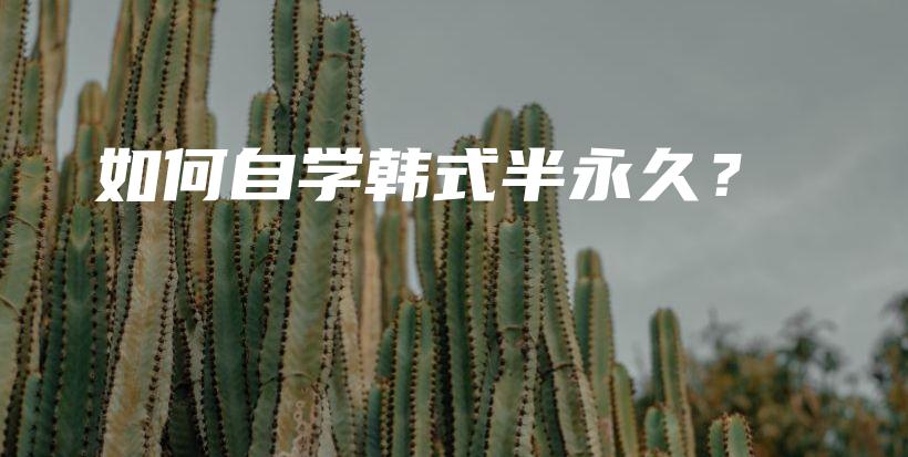 如何自學(xué)韓式半永久？插圖