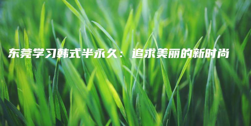 東莞學(xué)習(xí)韓式半永久：追求美麗的新時(shí)尚插圖