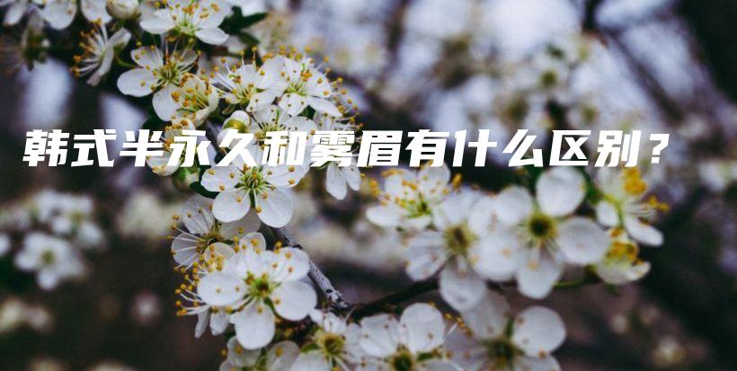 韓式半永久和霧眉有什么區(qū)別？插圖