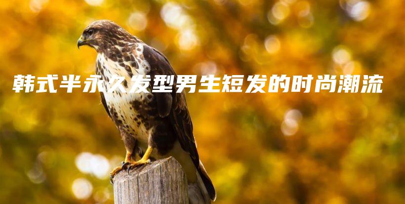 韓式半永久發(fā)型男生短發(fā)的時尚潮流插圖