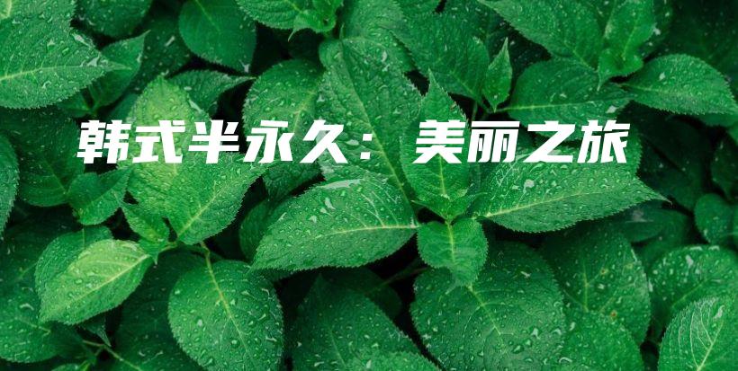 韓式半永久：美麗之旅插圖