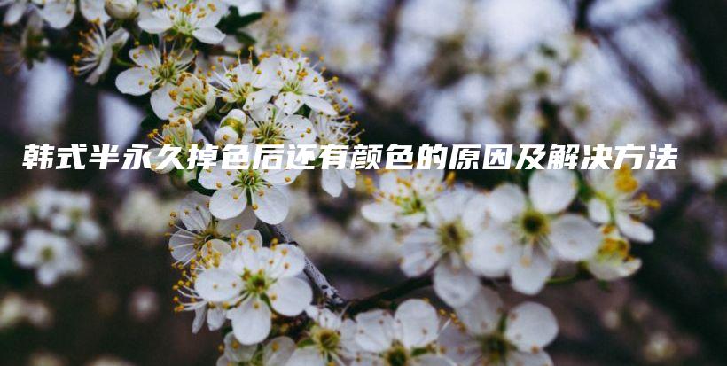 韓式半永久掉色后還有顏色的原因及解決方法插圖