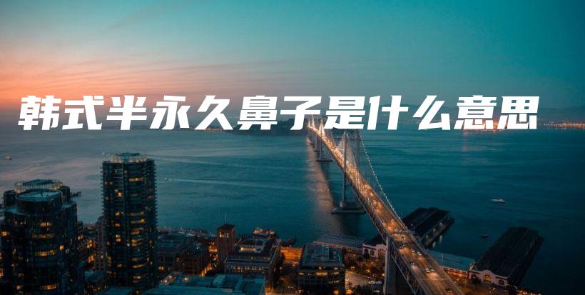 韓式半永久鼻子是什么意思插圖
