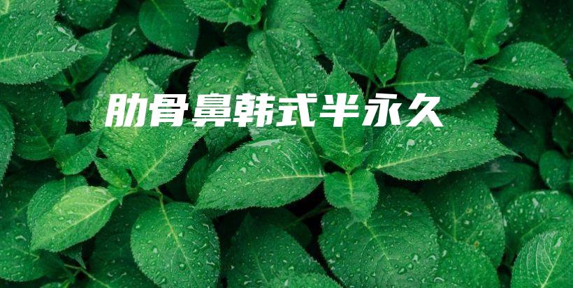 肋骨鼻韓式半永久插圖