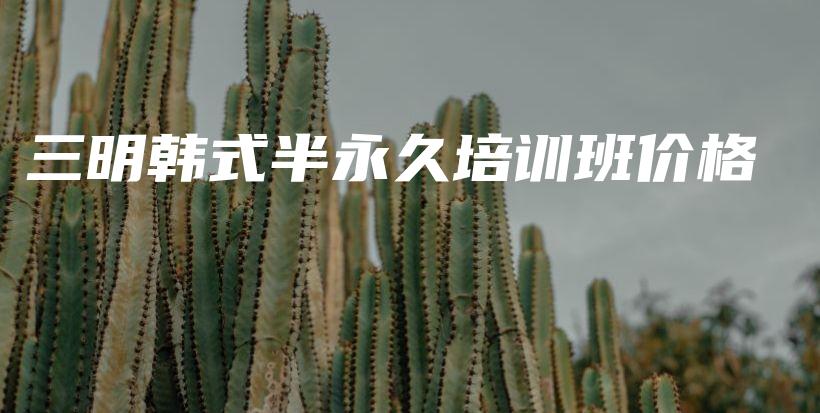 三明韓式半永久培訓(xùn)班價(jià)格插圖