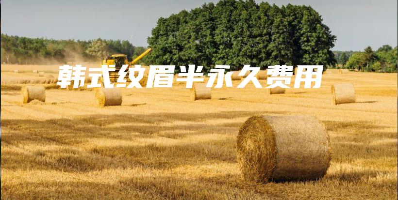 韓式紋眉半永久費(fèi)用插圖