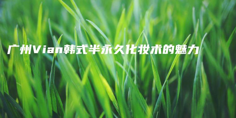 廣州Vian韓式半永久化妝術(shù)的魅力插圖
