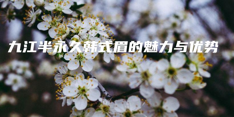 九江半永久韓式眉的魅力與優(yōu)勢插圖