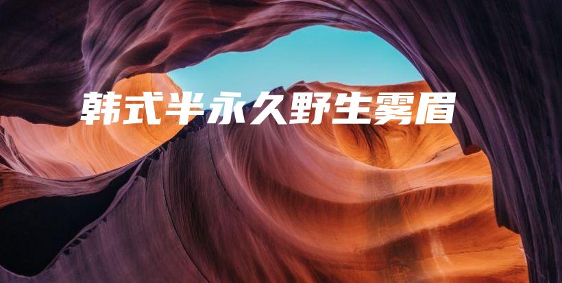 韓式半永久野生霧眉插圖