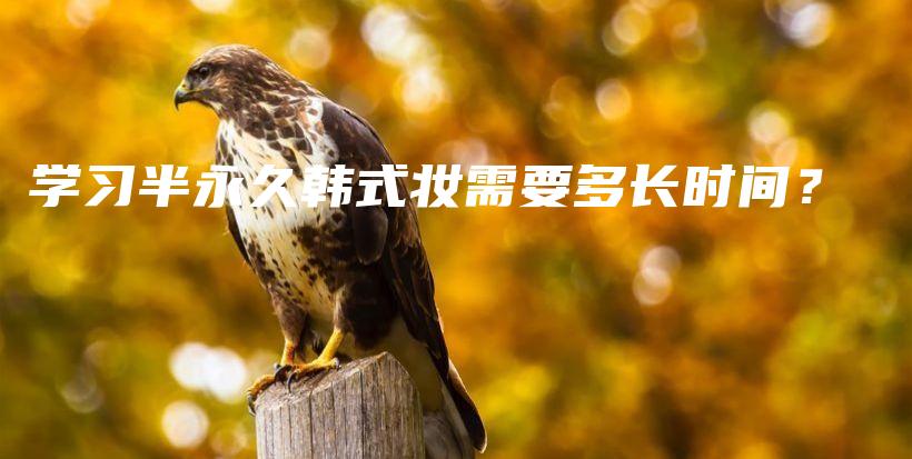 學(xué)習(xí)半永久韓式妝需要多長時間？插圖