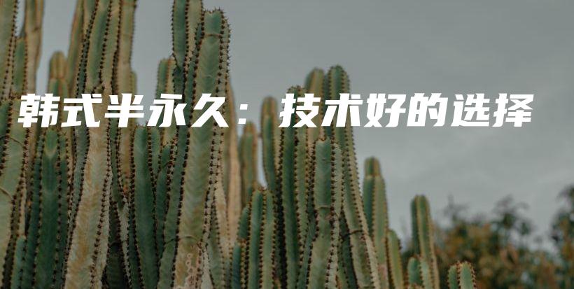 韓式半永久：技術(shù)好的選擇插圖