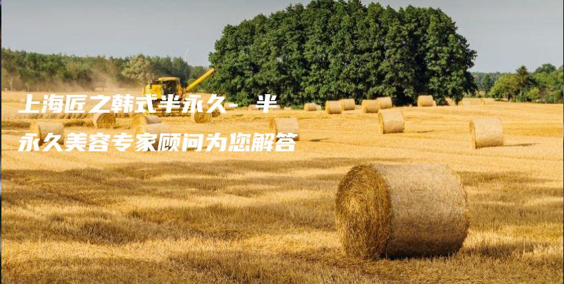 上海匠之韓式半永久- 半永久美容專家顧問為您解答插圖