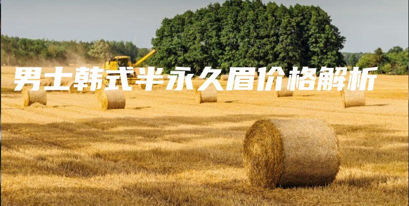 男士韓式半永久眉價(jià)格解析插圖