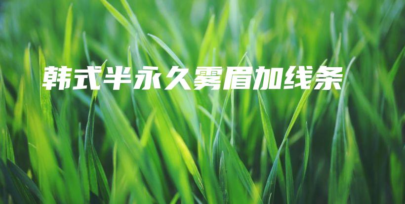 韓式半永久霧眉加線條插圖