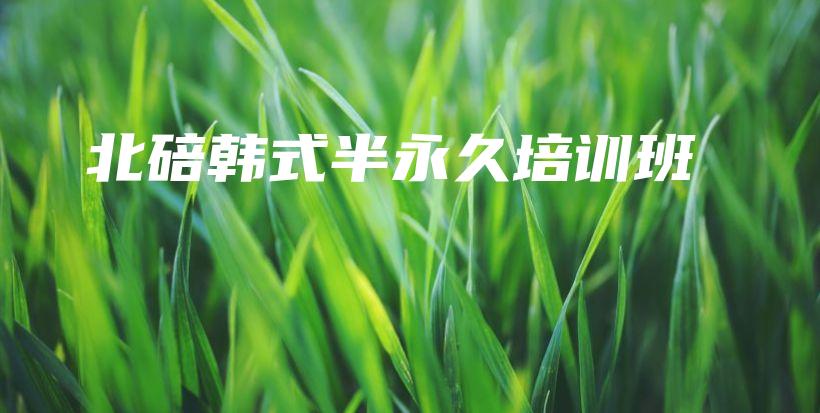 北碚韓式半永久培訓班插圖