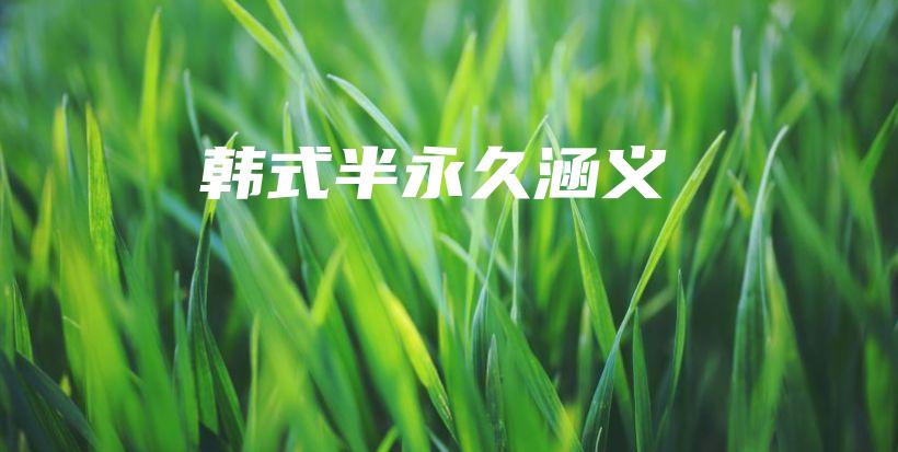 韓式半永久涵義插圖