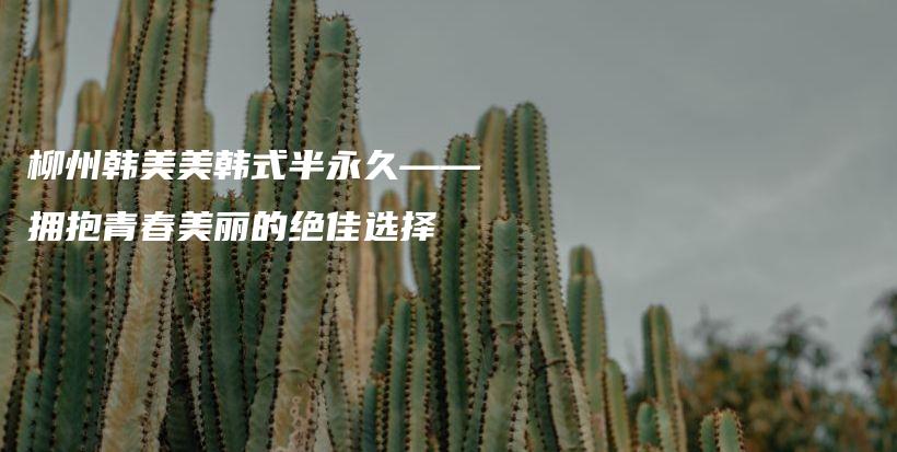 柳州韓美美韓式半永久——擁抱青春美麗的絕佳選擇插圖