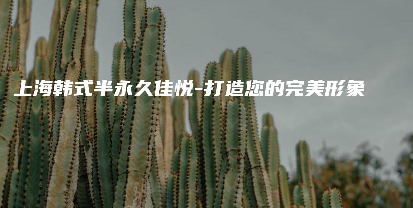 上海韓式半永久佳悅-打造您的完美形象插圖