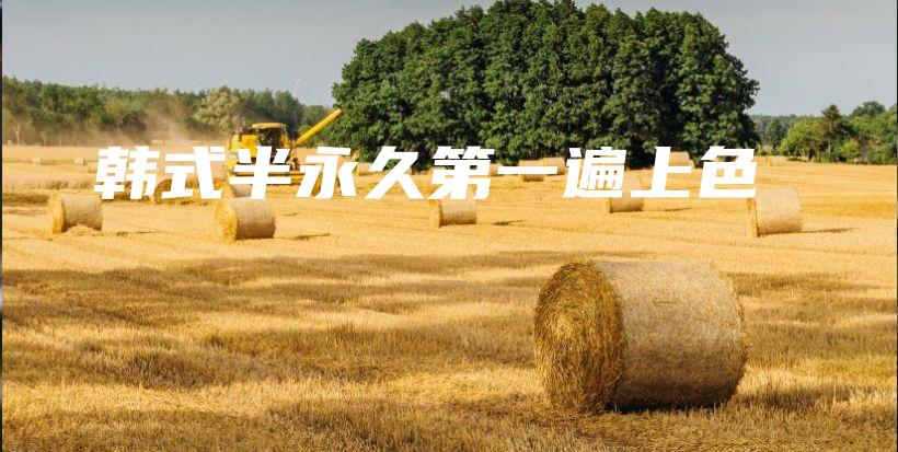 韓式半永久第一遍上色插圖