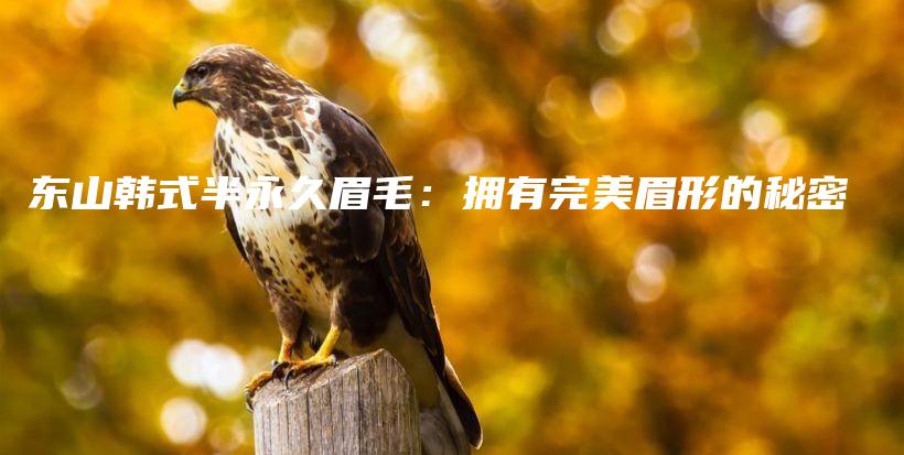 東山韓式半永久眉毛：擁有完美眉形的秘密插圖
