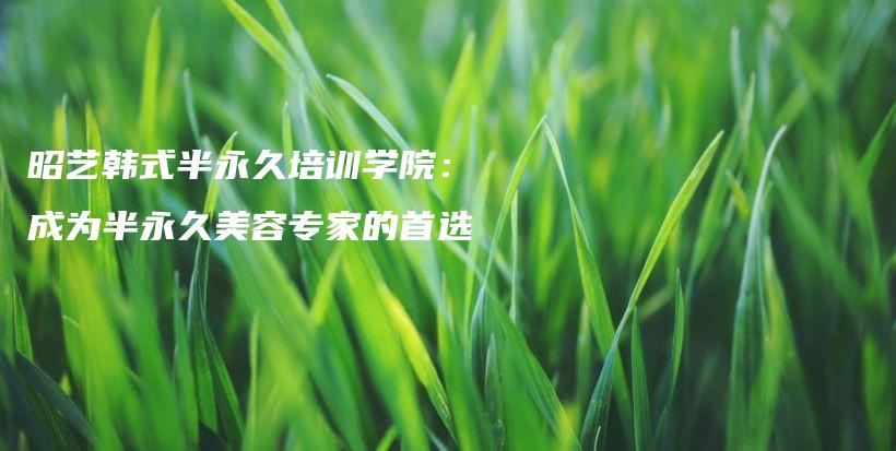 昭藝韓式半永久培訓(xùn)學(xué)院：成為半永久美容專(zhuān)家的首選插圖