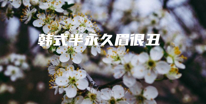 韓式半永久眉很丑插圖