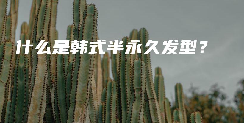 什么是韓式半永久發(fā)型？插圖