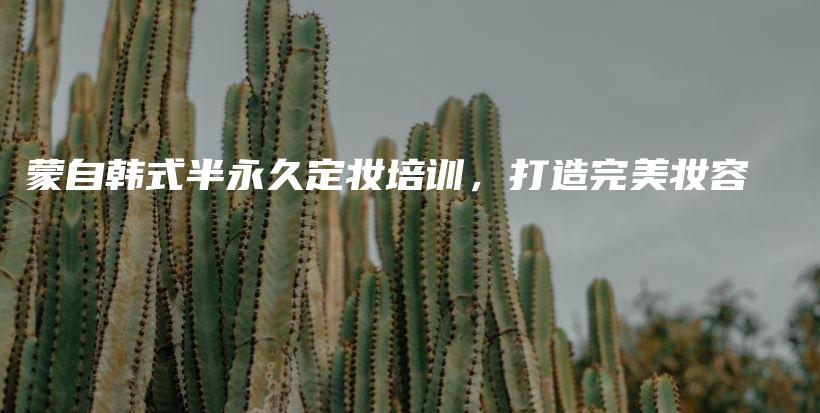 蒙自韓式半永久定妝培訓(xùn)，打造完美妝容插圖