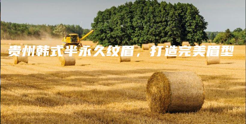 貴州韓式半永久紋眉，打造完美眉型插圖