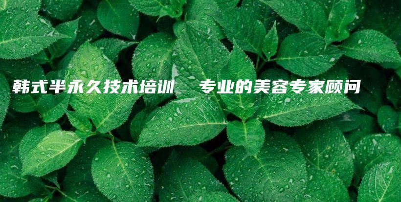 韓式半永久技術(shù)培訓(xùn)  專業(yè)的美容專家顧問插圖