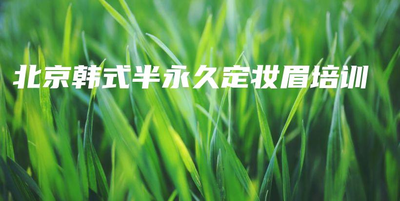 北京韓式半永久定妝眉培訓插圖