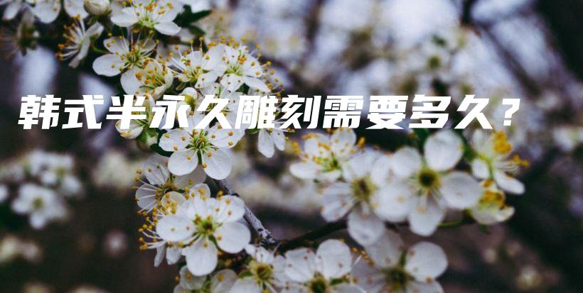 韓式半永久雕刻需要多久？插圖
