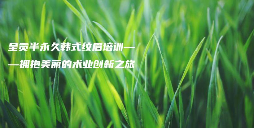 呈貢半永久韓式紋眉培訓(xùn)——擁抱美麗的術(shù)業(yè)創(chuàng)新之旅插圖