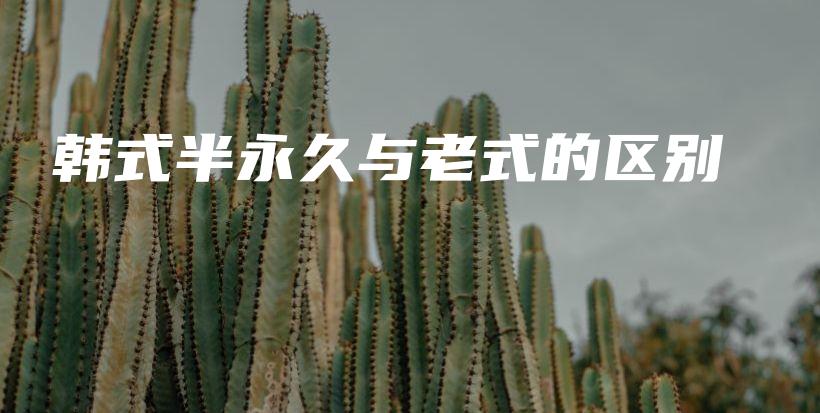 韓式半永久與老式的區(qū)別插圖