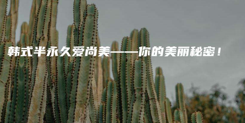 韓式半永久愛尚美——你的美麗秘密！插圖