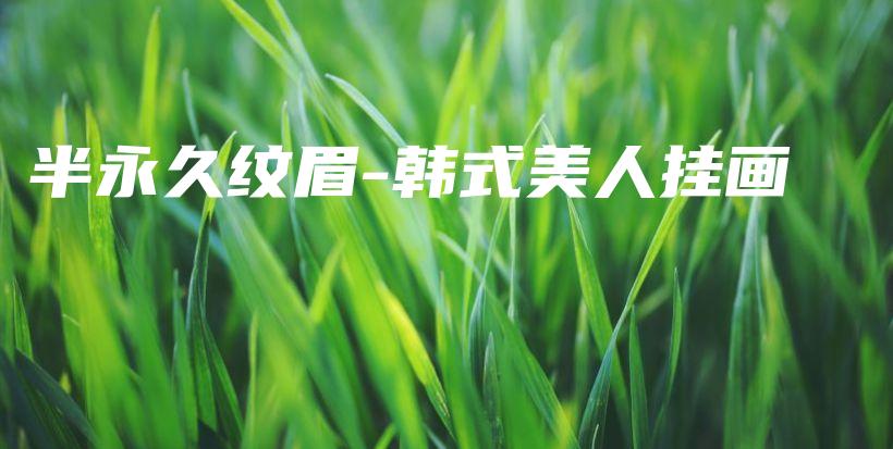半永久紋眉-韓式美人掛畫插圖