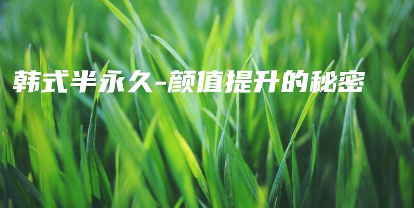 韓式半永久-顏值提升的秘密插圖