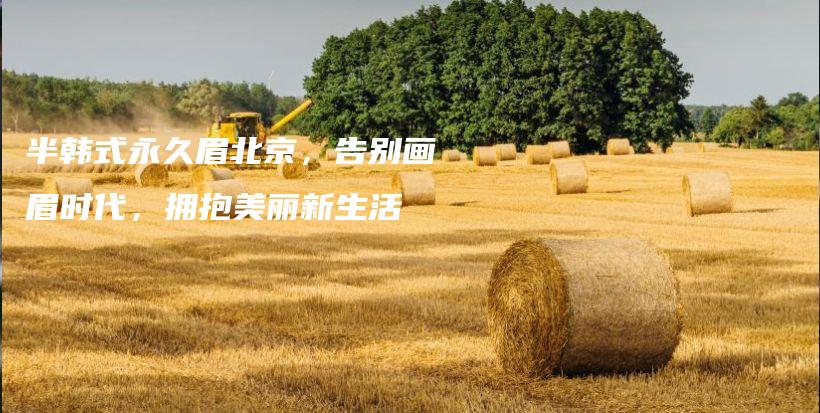 半韓式永久眉北京，告別畫眉時(shí)代，擁抱美麗新生活插圖