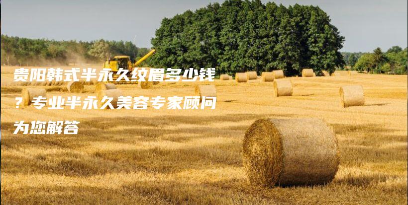 貴陽韓式半永久紋眉多少錢？專業(yè)半永久美容專家顧問為您解答插圖