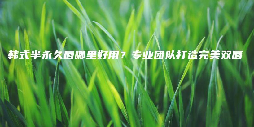 韓式半永久唇哪里好用？專業(yè)團隊打造完美雙唇插圖